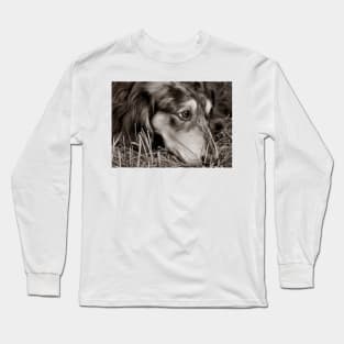 Weary dog... Long Sleeve T-Shirt